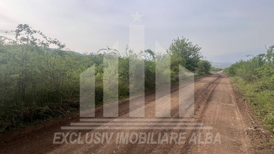 Teren intravilan de vanzare, Podei - Poză 1