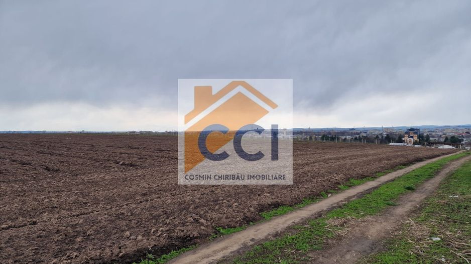 Teren 10,000mp Bacau / Strada Alexandru Safran - Poză 13