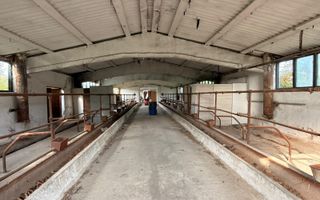 Fermă Sărand | Bihor | 25.659 mp teren intravilan - Poză 3