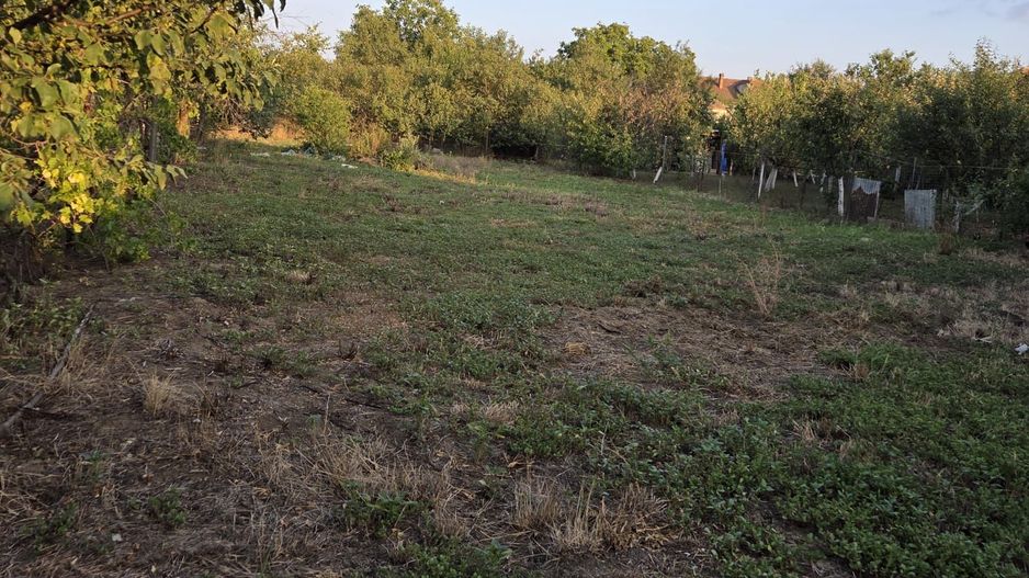 Casă și teren 2177 mp Ortisoara -28ml front-comision 0 - Poză 15