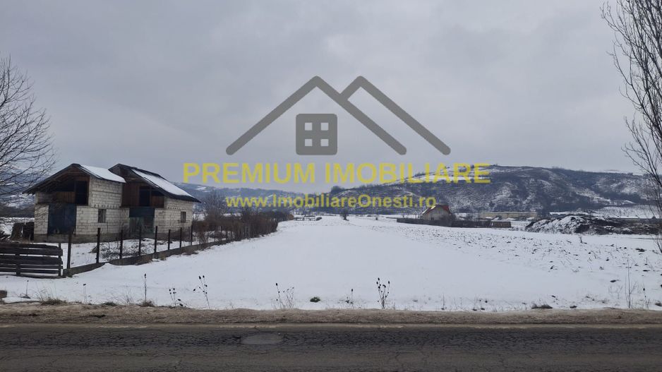 Teren de vânzare – Oituz - Poză 2