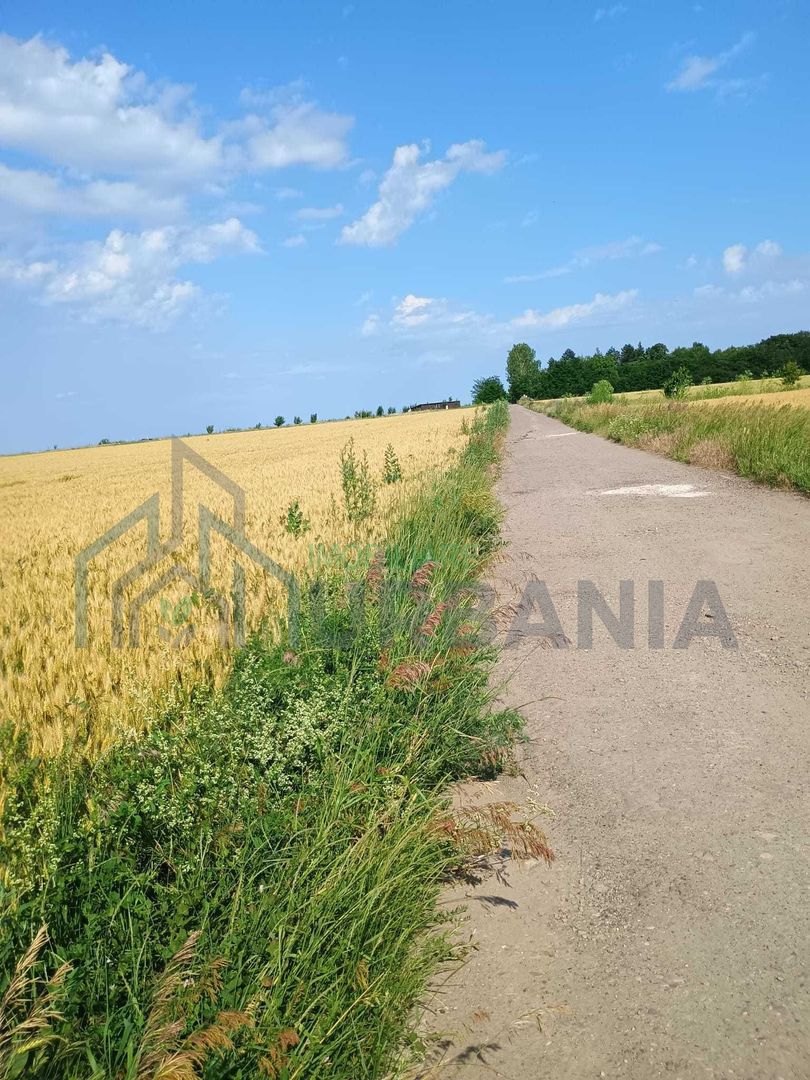 Teren extravilan de 5000 mp în Valea Ursului, vânzare - Poză 5
