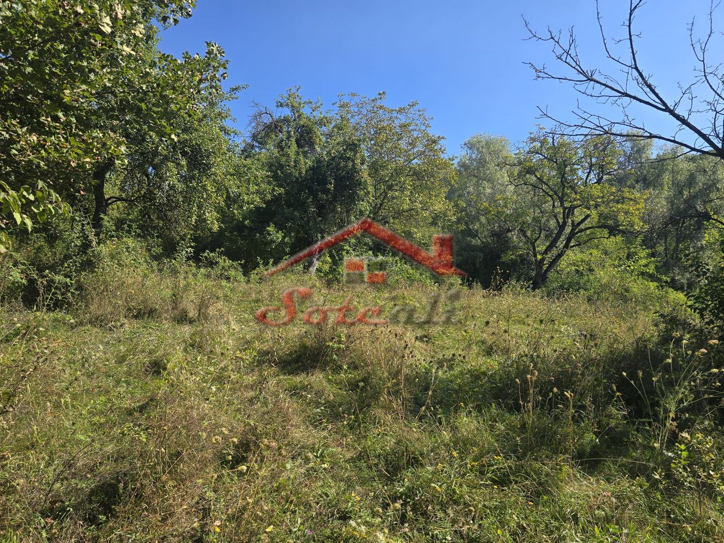 Teren intravilan de vanzare Cornu - Poză 1