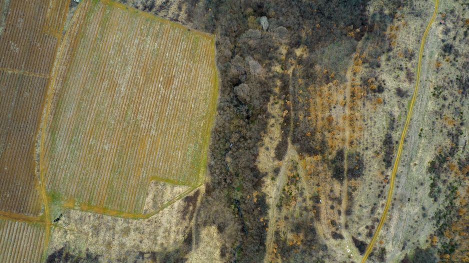 Teren pe deal în Miniș - Poză 6