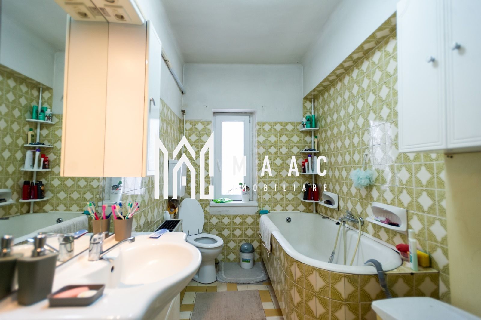 Casa Individuala | 407MPU | 1000MP Teren | Calea Dumbravii - Poză 16