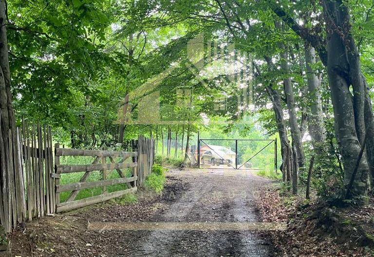 CASA 3 CAMERE, TEREN 3100 MP, ALBESTI DE MUSCEL, ARGES - Poză 17