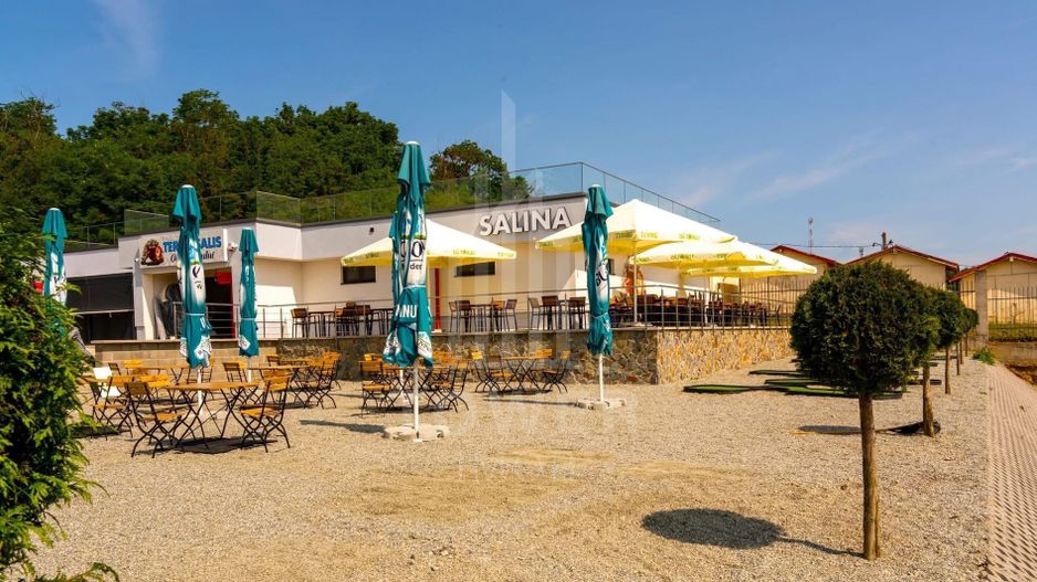 Afacere Profitabilă de Vânzare–Salină Artificială Funcțională în Ocna Sibiului - Poză 4