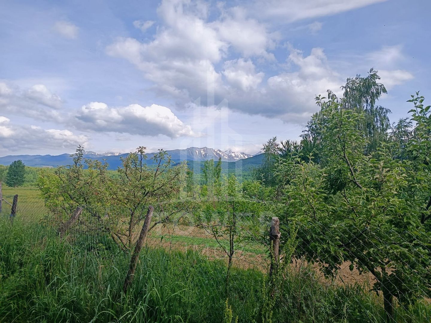 Teren intravilan 815 mp Valea Avrigului | Porumbacu de Jos - Poză 2