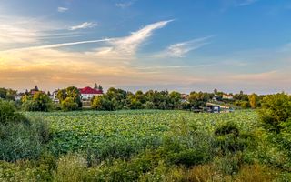 Teren Lacul Snagov 1.976 mp | 19,18 m front la lac | Vilă P+1 | 0% com - Poză 7