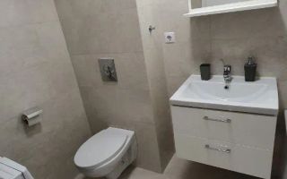 Garsoniera noua, calea Calarasi - Poză 4