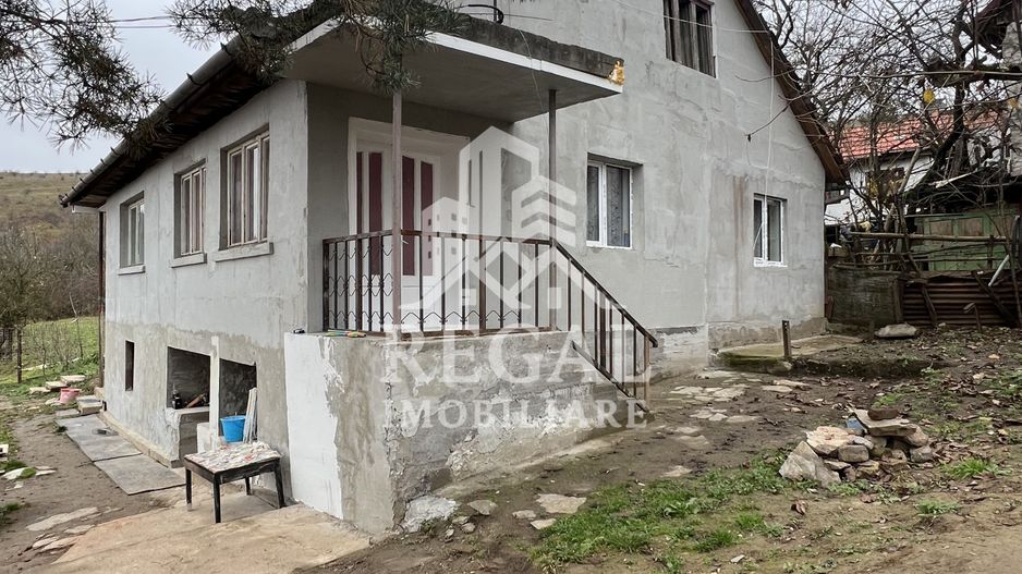 Două case individuale de vânzare în Teliuc –ideale pentru două familii - Poză 17