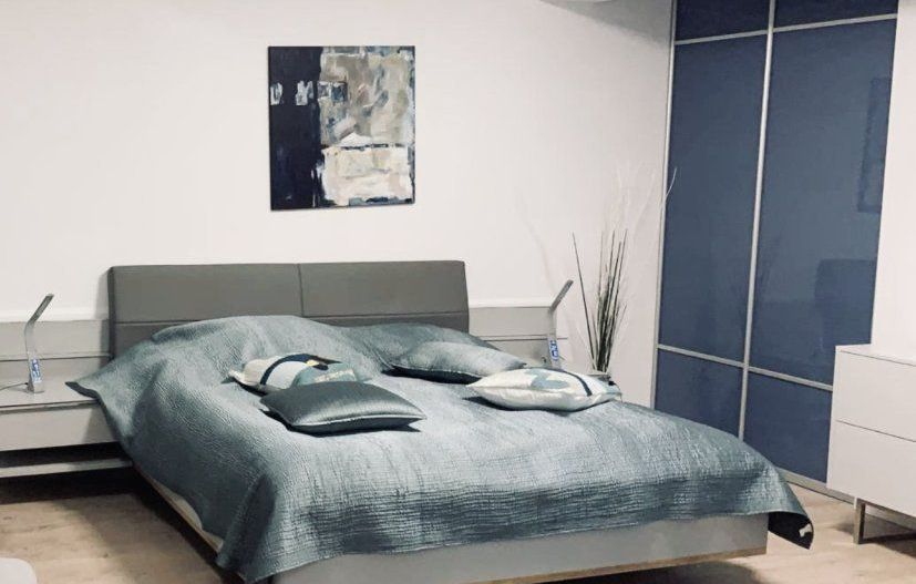 Vila / Spatiu Comercial Stradal 20m deschidere - Poză 2