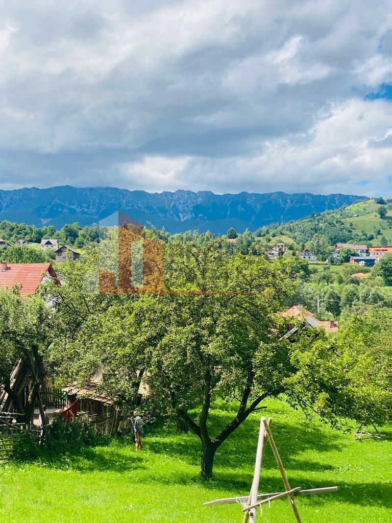 Teren 5879 mp + casa batraneasca Moieciu de jos - Poză 3