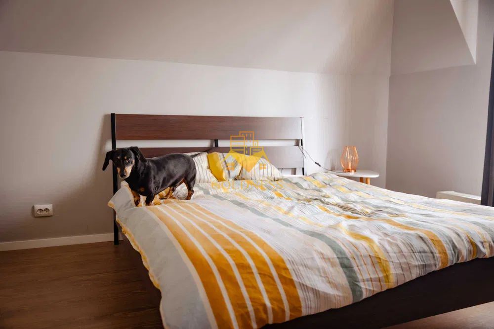 3 camere open space, parcare, Calea Turzii, Europa, Pet Friendly - Poză 6