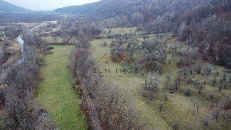 Teren 36000 m2, intravilan+partial extravilan, cadastru, Draganeasa PH - Poză 10