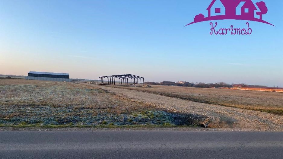 Parcele de teren industrial pentru diferite activitati economice - Poză 1