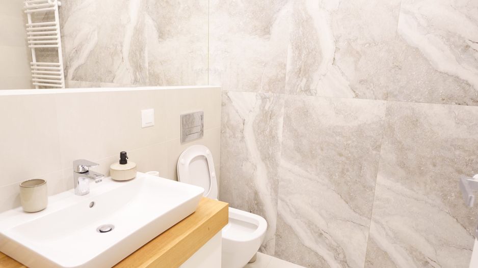 2 Camere + Gradina + Parcare, Nusco City, Aviatiei, Herastrau - Poză 9