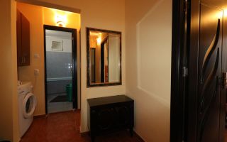 Apartament 2 camere Nicolina prima statie din Podu Ros - Poză 14