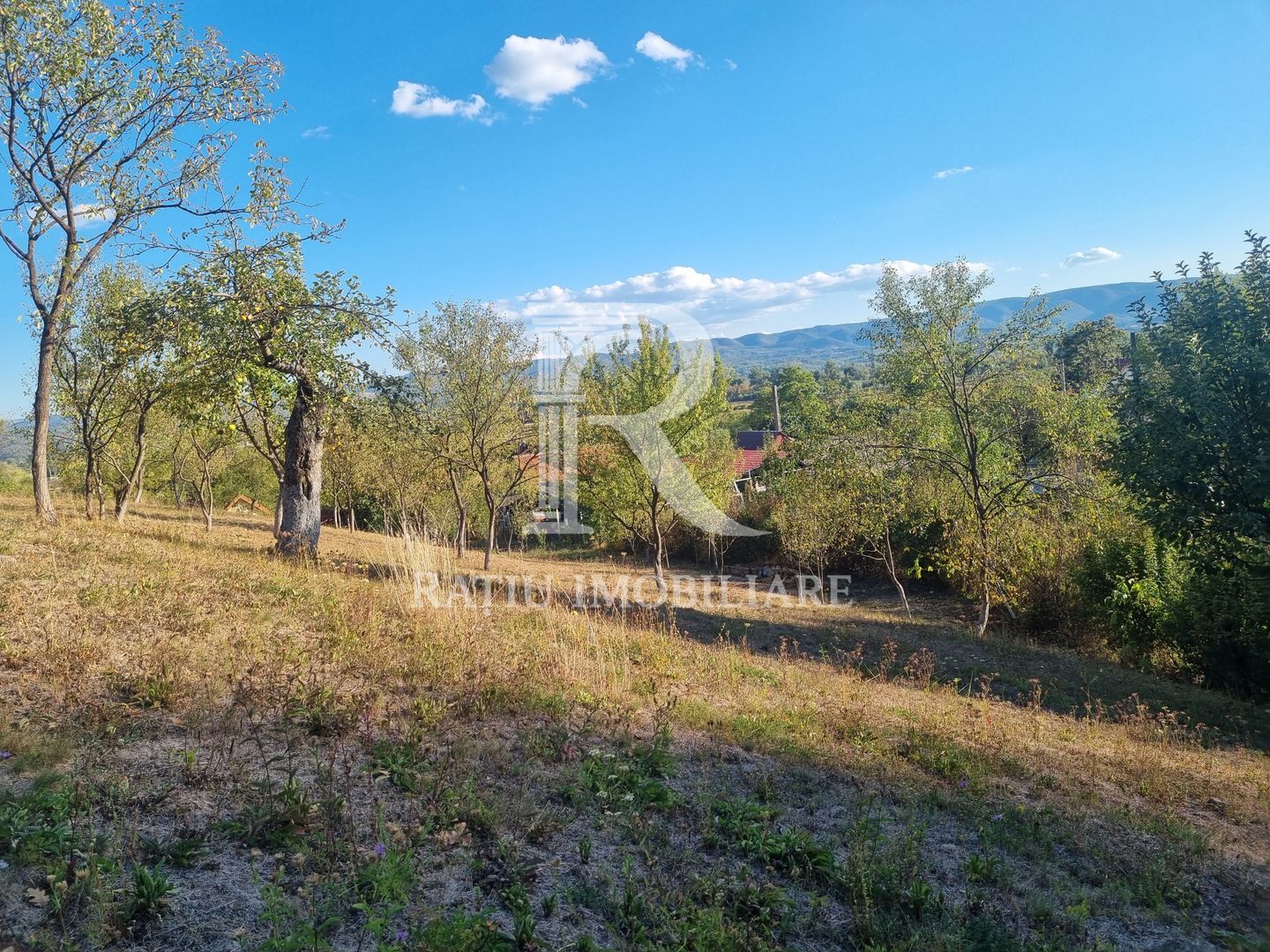 Casă renovata cu teren generos | Anexe | Gurasada | Hunedoara - Poză 41