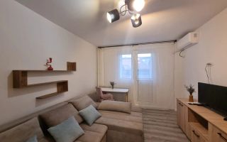 Apartament cochet cu doua camere, Titulescu-Victoriei - Poză 2