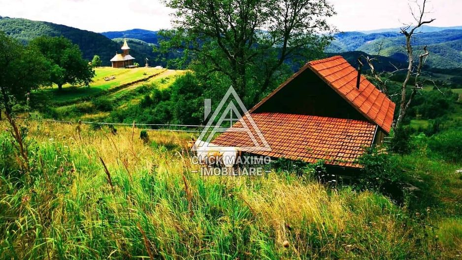 CASĂ și TEREN 85.000 mp – Casa părintească Părintele Arsenie Boca - Poză 12