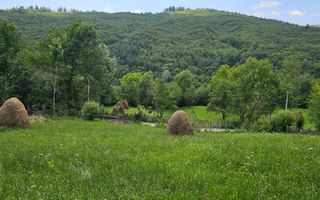 VANZARE 5 LOTURI TEREN PENTRU CASE DE VACANTE | TESILA | VALEA DOFTANEI | - Poză 1