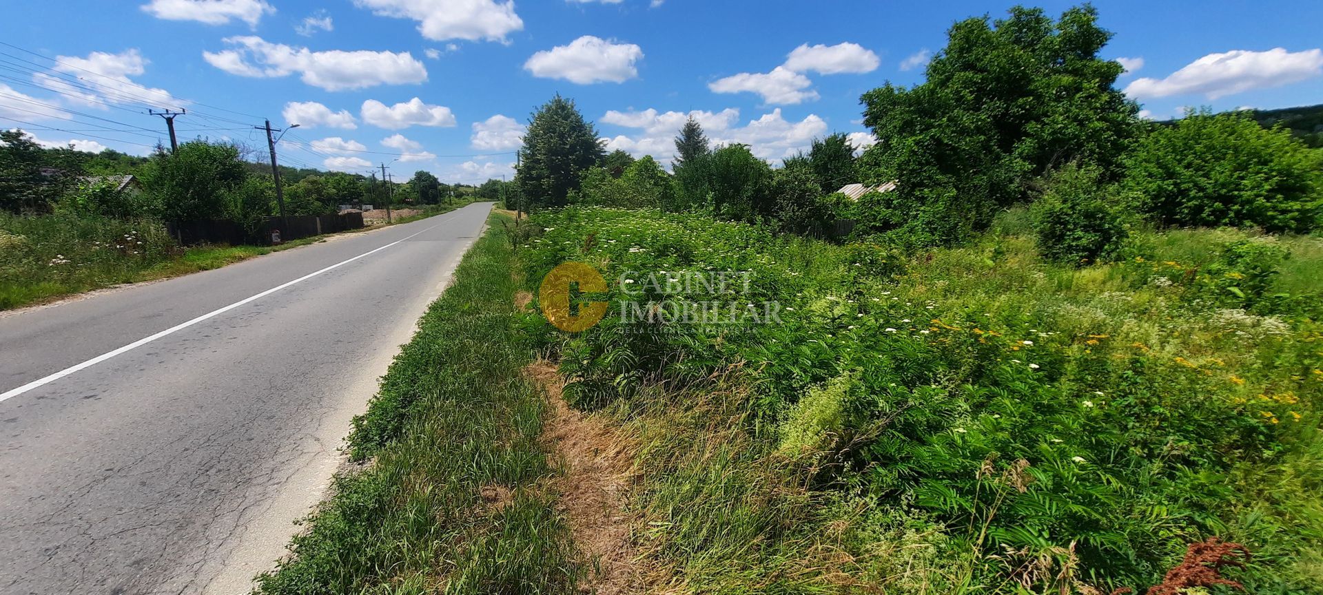 🌳 🌞🌿 TEREN INTRAVILAN OSOI 2800 mp - 49.999 Euro ! 🌳🌞🌿 - Poză 6