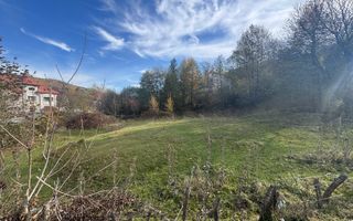 TEREN INTRAVILAN 13167 MP BUGHEA DE SUS ARGES - Poză 4