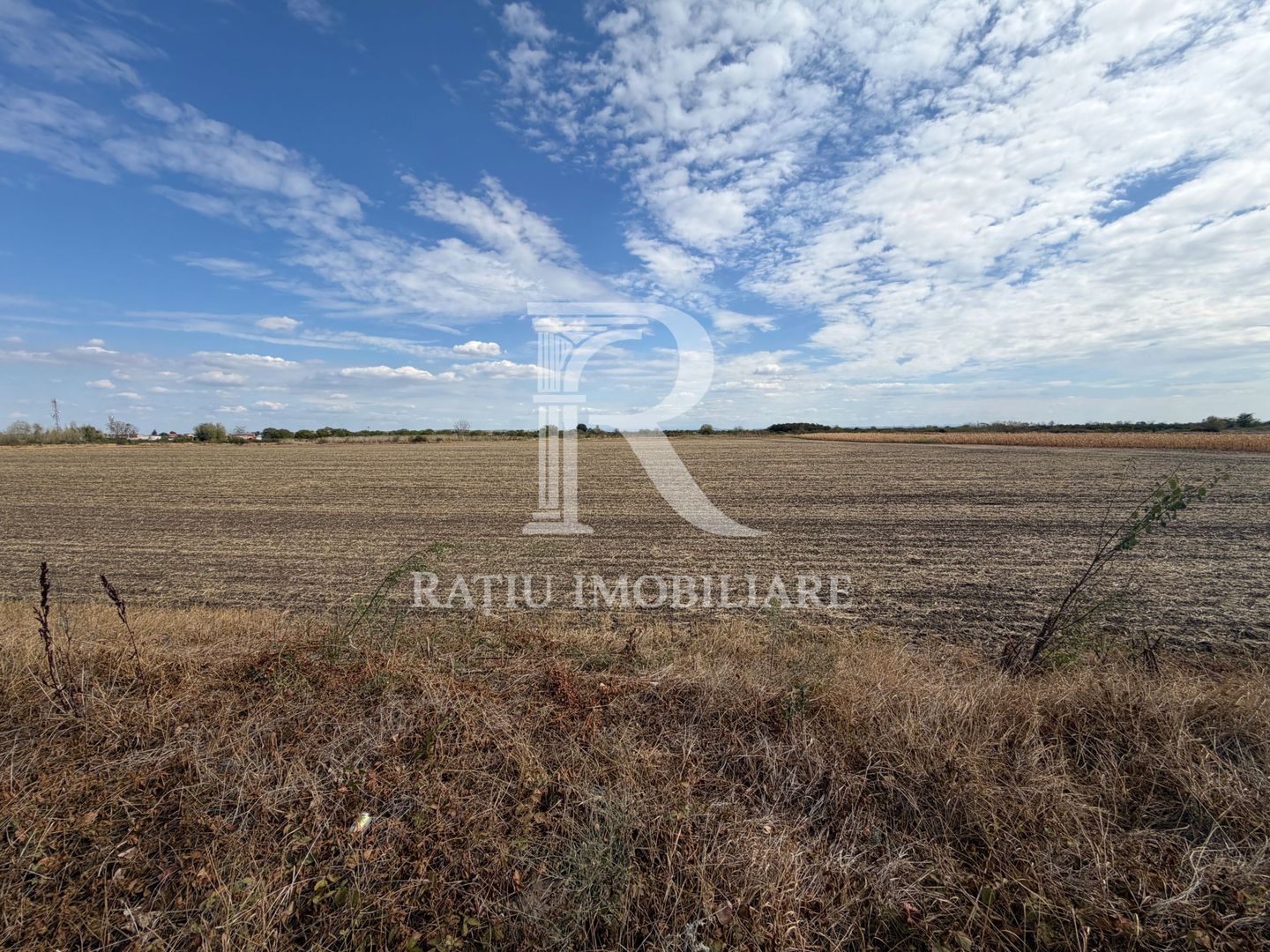 TEREN INTRAVILAN 4.750 MP | BORȘ | OPORTUNITATE DE INVESTIȚIE - Poză 3