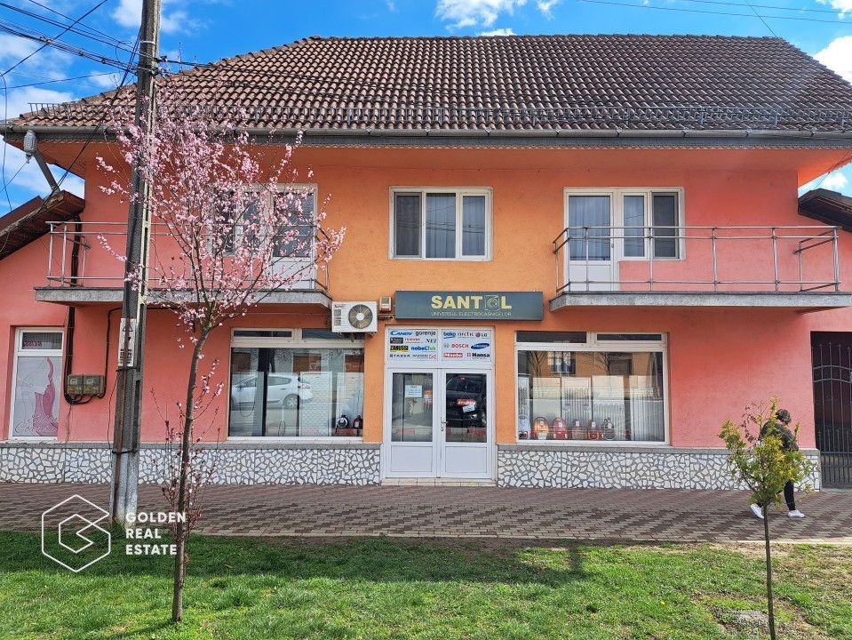 Casa mare cu 2 spatii comerciale, in Faget - Poză 1