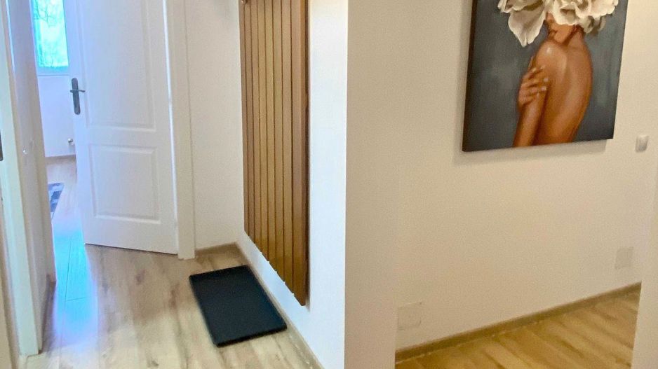 AP. 2 CAMERE BABA NOVAC, CAT-FRIENDLY, BOILER, MODERN, METROU 5 MINUTE - Poză 7