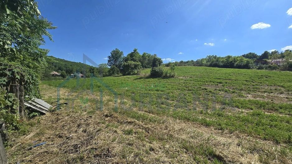 Ansamblu rezidențial cu două case și teren de 1,4 hectare, Bohotin - Poză 5