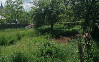 Casă de vânzare în Vatra Dornei - Poză 9