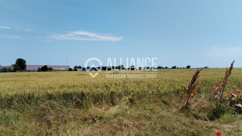 TECHIRGHIOL-CENTRUL LOGISTIC DEDEMAN (COD04)- Teren 500 mp - Poză 1