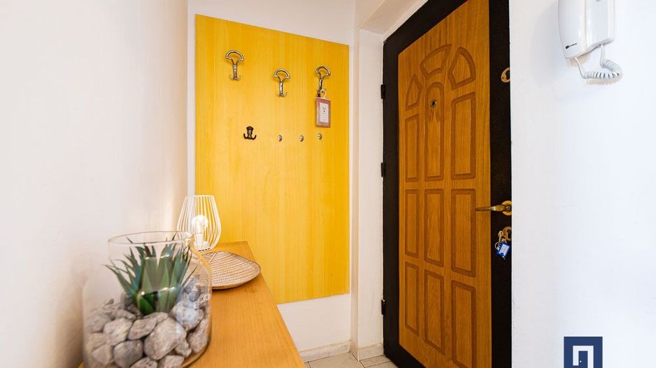 Apartament SPATIOS  cu o camera | Bd Dambovita | comision 0 - Poză 20