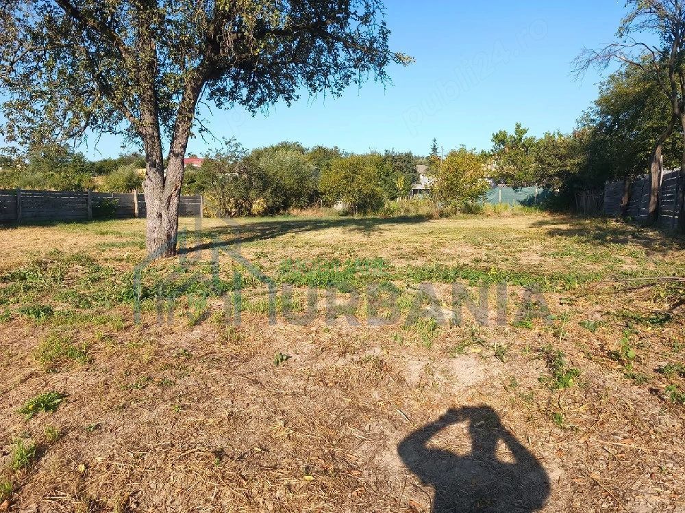 proprietar, vand teren intravilan in ciurea - Poză 5