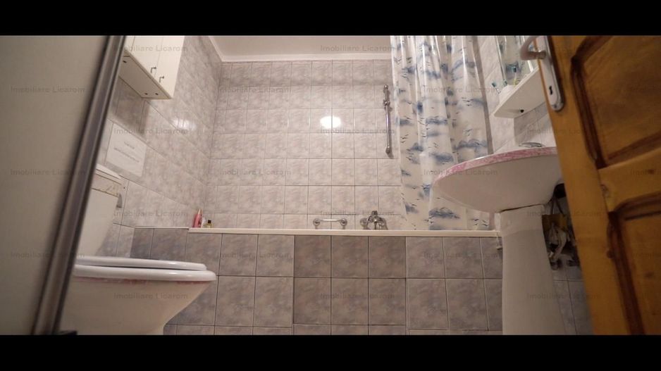 Oferta Conac boieresc P+M,teren 20400 mp - Poză 16