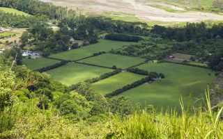 Teren Bulevardul Theodor Pallady - Poză 1