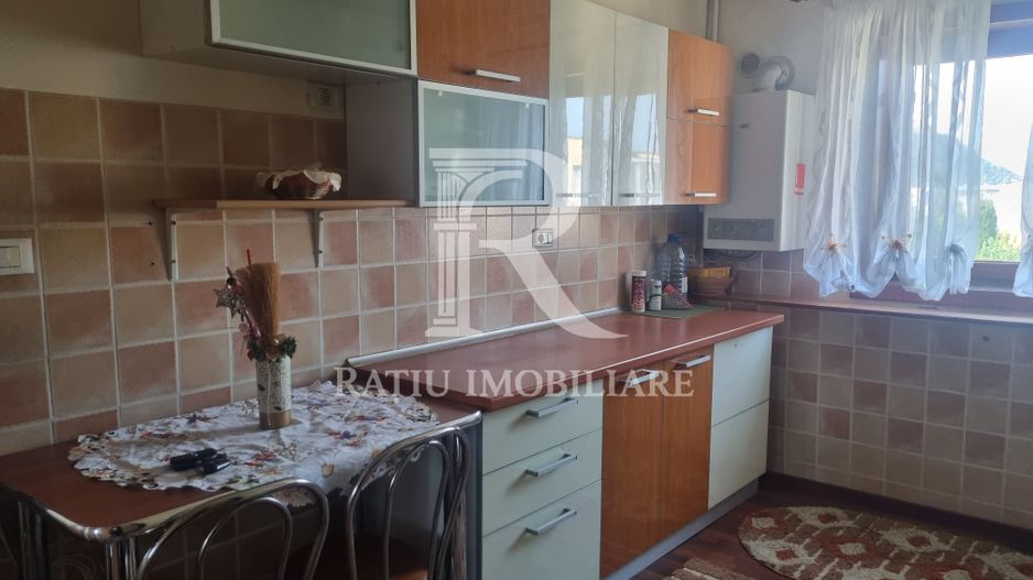 Apartament cu 2 camere de vanzare | Zona Gojdu | Deva | Hunedoara - Poză 3