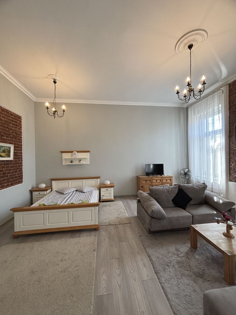 Apartament cu o camera în clădire istorică ,zona Maria - Poză 16