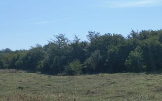 Teren intravilan investitie turism balnear fonduri europene - Poză 1