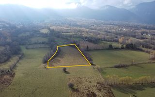 Teren Zarnesti | Tohanita | Intravilan | PUZ aprobat | Fara Utilitati | 9.053mp - Poză 2