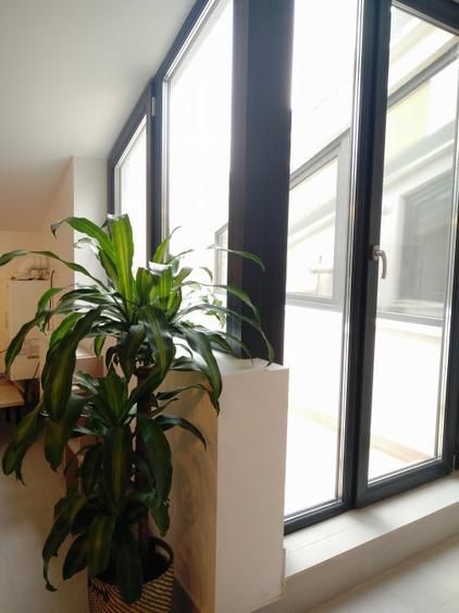 Închiriere 2 Camere Unirii, Centrală, Terasă, Petfriendly - Poză 3