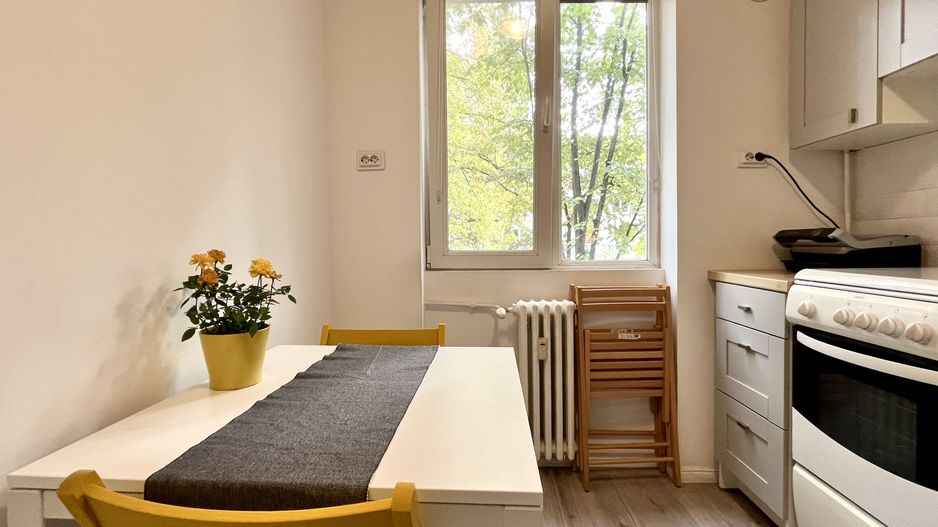 Apartament cu 2 camere, vedere la parc, în zona Central-Piata Unirii - Poză 13