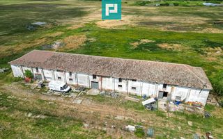 Hală industrială cu teren generos în Zărand, Arad - Poză 7