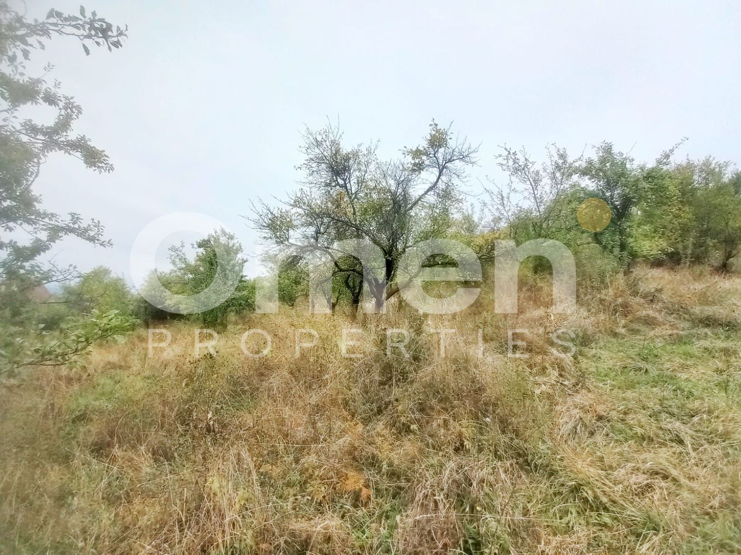 Teren 58 arii cu deschidere la drumul principal – Miron Costin - Poză 5