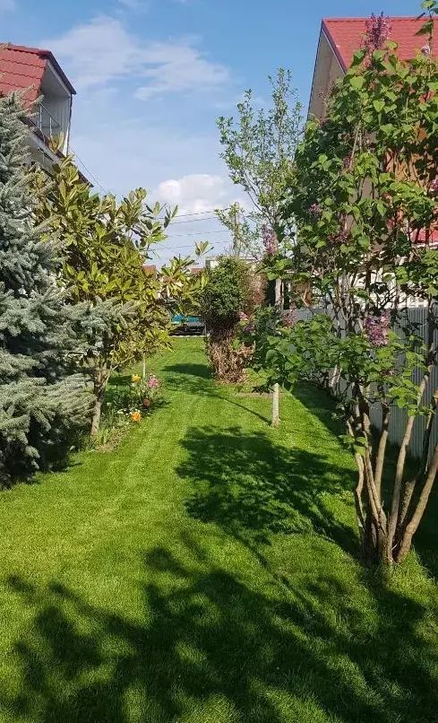 Vila de vanzare zona Metro/Arcasilor - P+1E+M - Poză 7