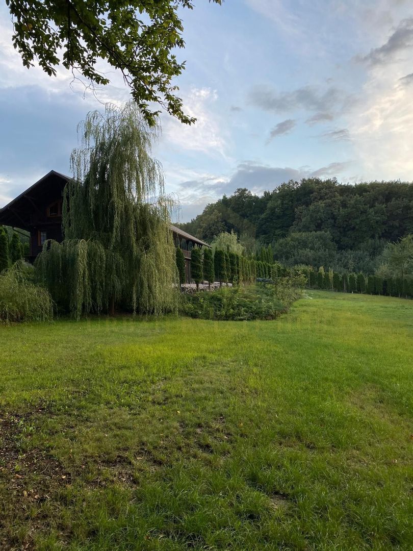 Vanzare teren 3000 mp, cabana, zona D D Rosca, Faget - Poză 1