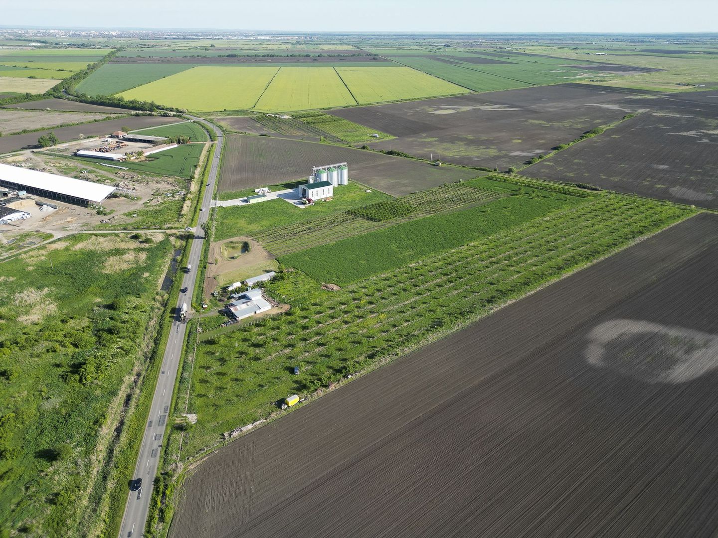 Livadă de nuci și pruni 2.4ha în Variașu Mare - Poză 12