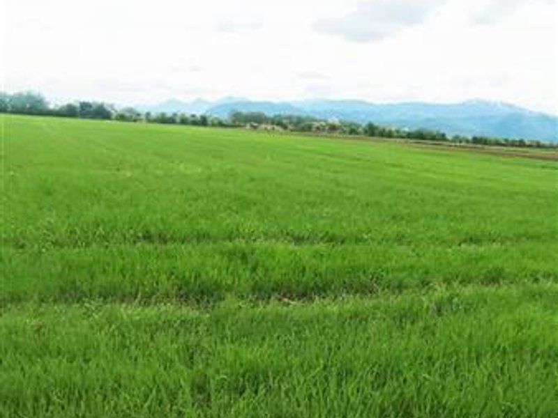 teren intravilan Stupini-Albinelor - Poză 11